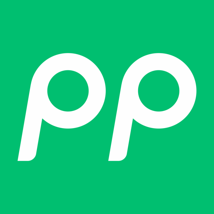 PP停車 PP停車
