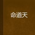 命道天