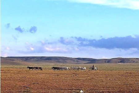 葛根塔拉草原
