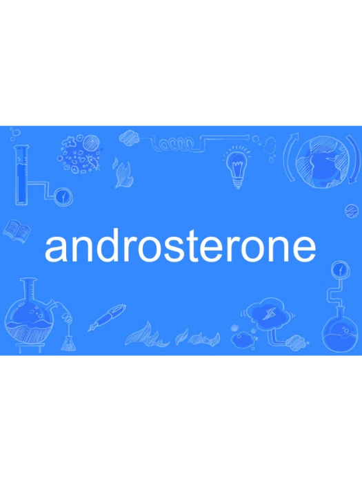 androsterone androsterone