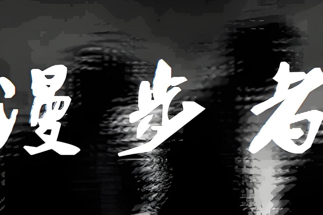 漫步者 The Walker 漫步者 The Walker
