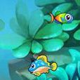 魚魚世界 魚魚世界