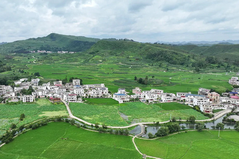 龍青村 龍青村
