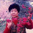 辛秋花 辛秋花