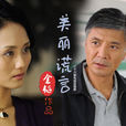美麗謊言(2014年金韜執導電視連續劇)