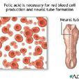 營養性巨幼紅細胞性貧血
