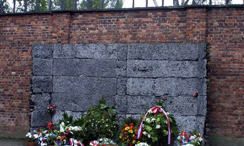 奧斯維辛集中營“死亡之牆”前的鮮花