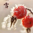 大雪 大雪