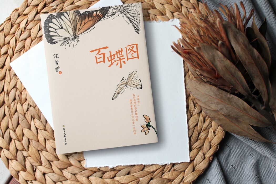 百蝶圖(汪曾祺的文學書) 百蝶圖(汪曾祺的文學書)