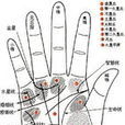 五行掌 五行掌