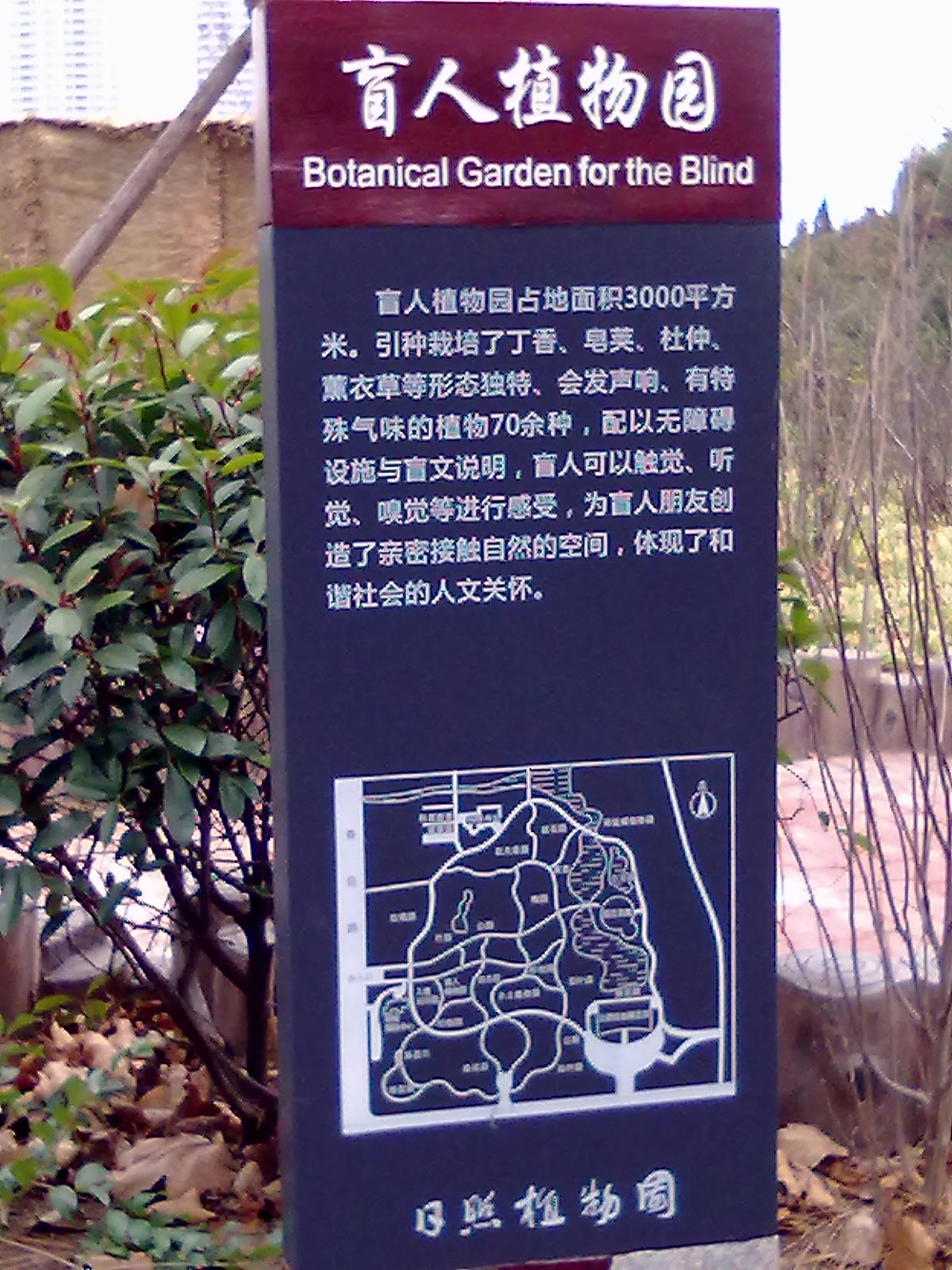 盲人植物園