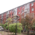 建國街 建國街