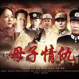 母子情仇(2012年林永健、于慧主演電視劇) 母子情仇(2012年林永健、于慧主演電視劇)