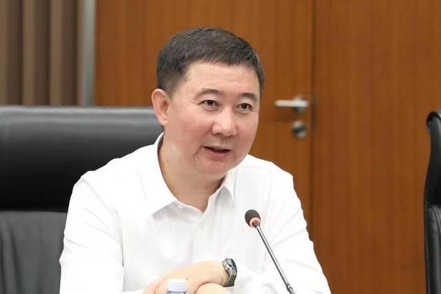 張進(第十四屆全國人大代表,新松機器人自動化股份有限公司總裁) 張進(第十四屆全國人大代表,新松機器人自動化股份有限公司總裁)