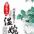 重生之溫婉 重生之溫婉