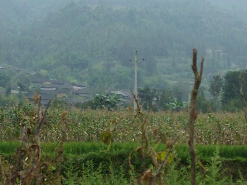 臘科村 臘科村