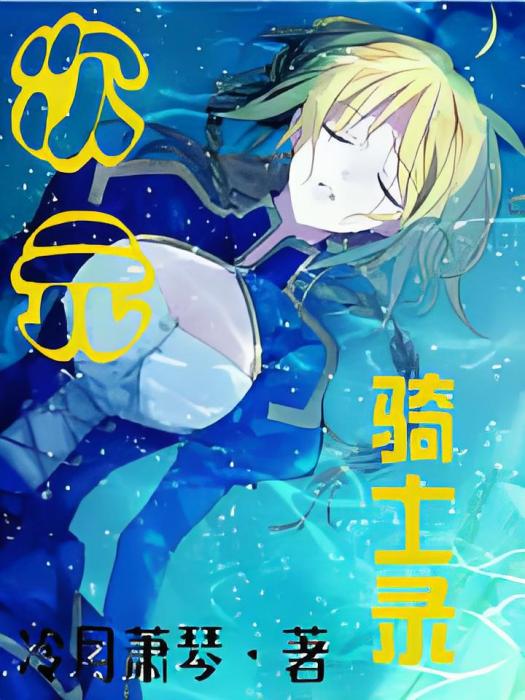 次元騎士錄 次元騎士錄