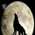 紫宸錄 紫宸錄