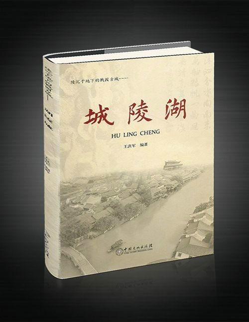 湖陵城(2015年中國文化出版社出版的圖書) 湖陵城(2015年中國文化出版社出版的圖書)