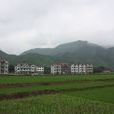 八一村(浙江省杭州市富陽區八一村) 八一村(浙江省杭州市富陽區八一村)