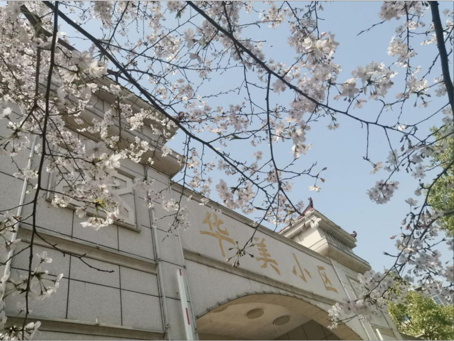 華美小區(湖北省潛江市廣華寺街道廣王路1號的小區) 華美小區(湖北省潛江市廣華寺街道廣王路1號的小區)