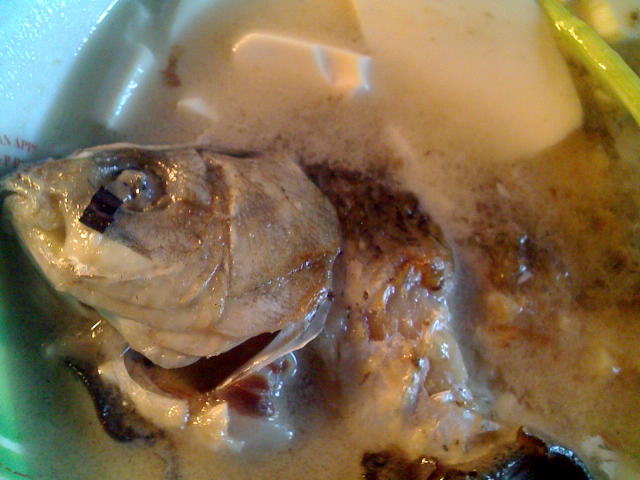 紅燒鯽魚豆腐