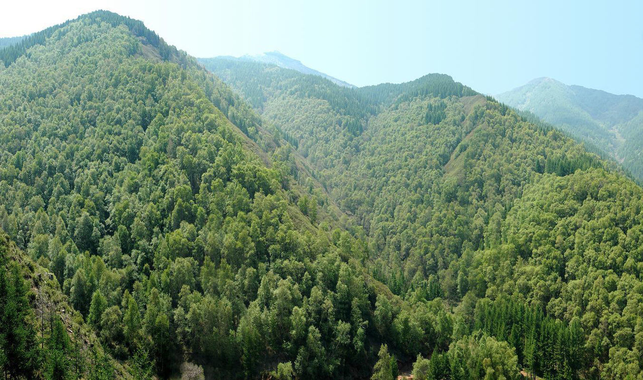 蘇木山森林公園