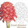 Exotic Botanical Illustration Exotic Botanical Illustration