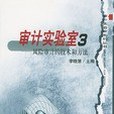 審計實驗室3 審計實驗室3