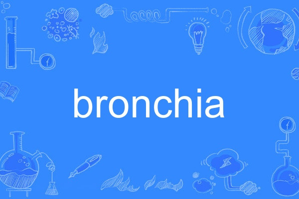 bronchia bronchia