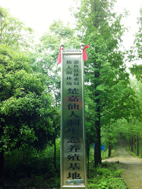 楚嘉仙人洞 楚嘉仙人洞