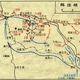 陳莊戰鬥 陳莊戰鬥