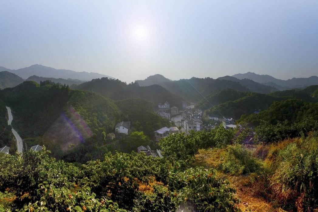 黃竹崗村 黃竹崗村