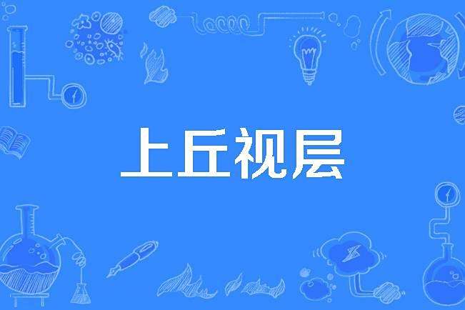 上丘視層