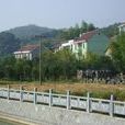 上四村(浙江省杭州市桐廬縣富春江鎮上四村) 上四村(浙江省杭州市桐廬縣富春江鎮上四村)