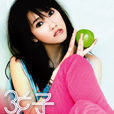 二皮臉(弦子2008年歌曲) 二皮臉(弦子2008年歌曲)