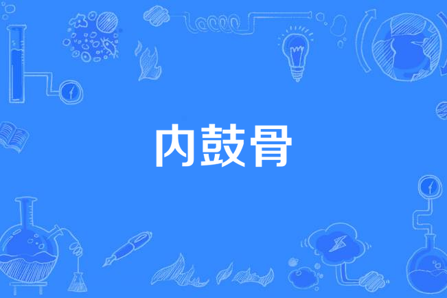 內鼓骨 內鼓骨