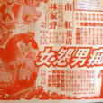 痴男怨女(1964年陸邦執導電影) 痴男怨女(1964年陸邦執導電影)