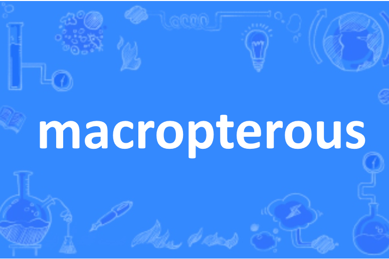 macropterous macropterous