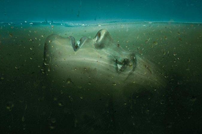 Absentia Absentia