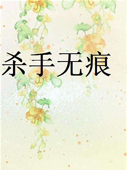 殺手無痕 殺手無痕