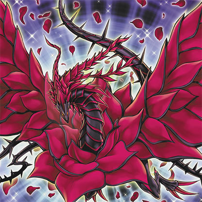 薔薇龍卡組 薔薇龍卡組