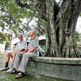 逕口社區(逕口村(深圳市光明新區光明辦事處逕口村)) 逕口社區(逕口村(深圳市光明新區光明辦事處逕口村))