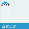 魂武大帝(再沒不過虛偽創作的玄幻類小說) 魂武大帝(再沒不過虛偽創作的玄幻類小說)