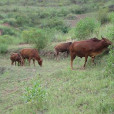 所所卡村 所所卡村
