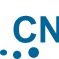 CNGI CNGI