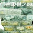 行宮象棋 行宮象棋