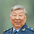 閻肅(著名藝術家、空政文工團創作員)