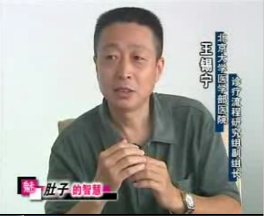 王錫寧：腹腦專家接受北京電視台採訪
