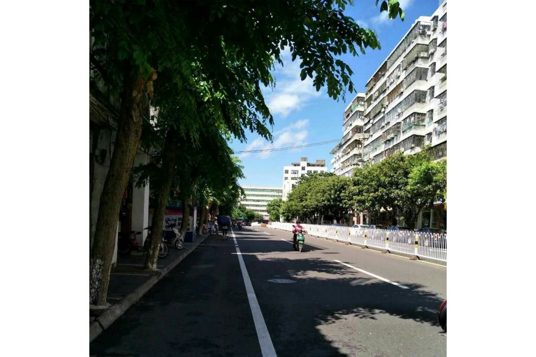 文莊西路 文莊西路